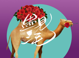 陈妍希-遇见三毛